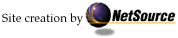 Netsource Logo